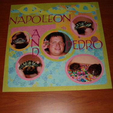 Napoleon &amp;amp; Pedro