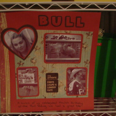 Bull riding page 1