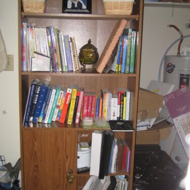 My Bookshelf after I Organized it
