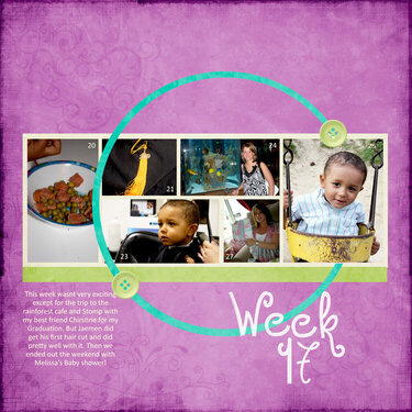 Week 17 - 2009