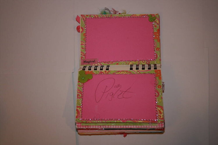 Disney Autograph Book