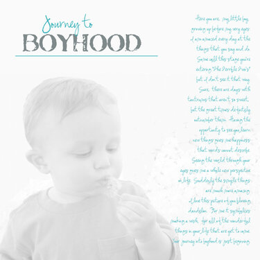 Journey to Boyhood