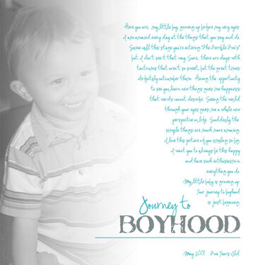 Journey to Boyhood (redo)