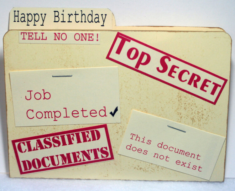Top Secret Birthday
