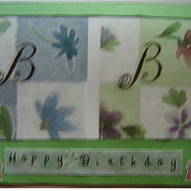 B &amp; B Birthday card
