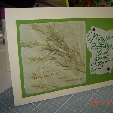 Rosemary birthday card
