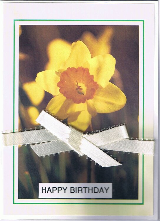 Daffodil Birthday Card