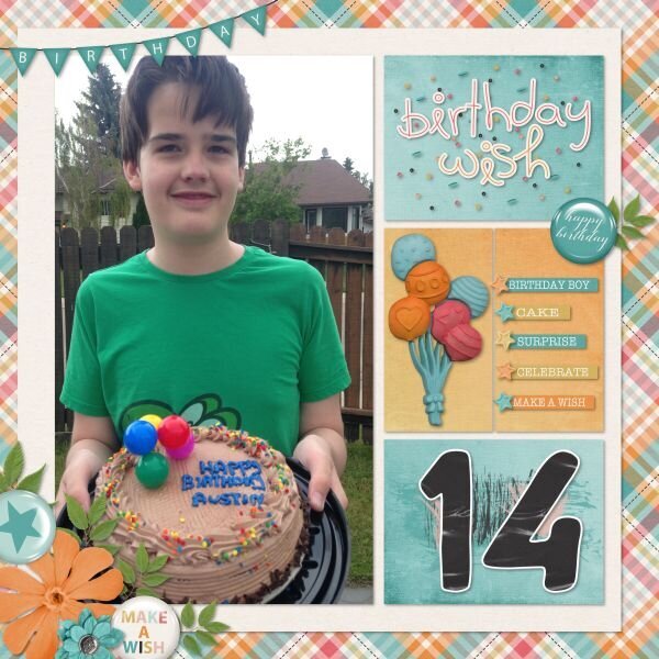 14 Birthday Wish