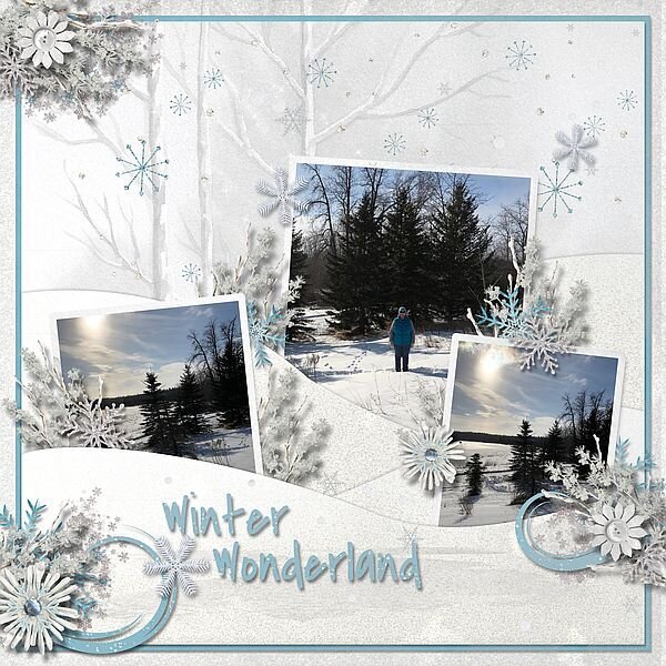 Winter Wonderland