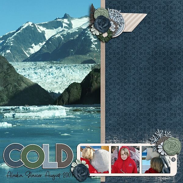 Cold Alaska Cruise