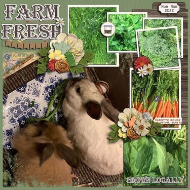 Nom Nom Farm Fresh Food