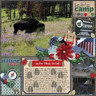 Let&#039;s Camp Buffalo Story