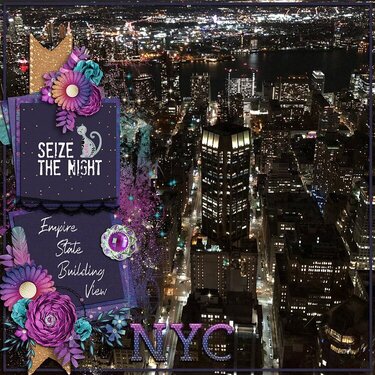 NYC Seize the Night