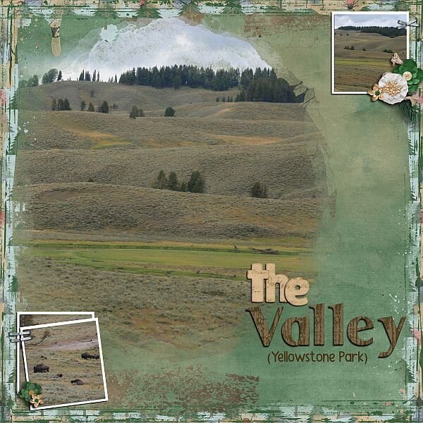 The Valley Yellowstone Park