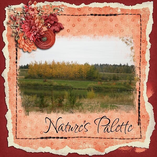 Nature&#039;s Palette