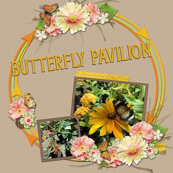 Butterfly Pavilion