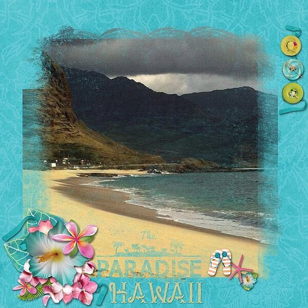 The Paradise Hawaii