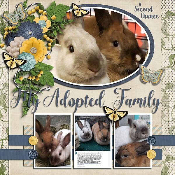 A Second Chance My Adopted Family