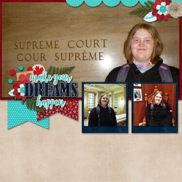 Supreme Court Dreams