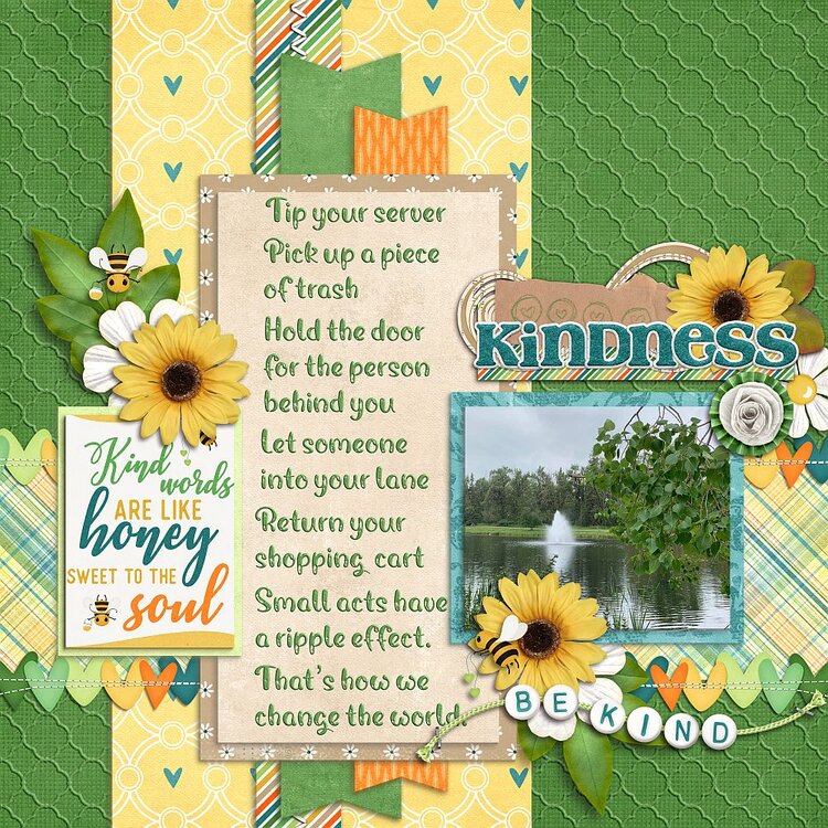 Kindness Project Idea