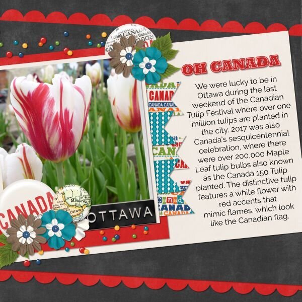 Canadian Tulip Festival