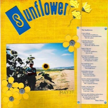 Sunflowers21
