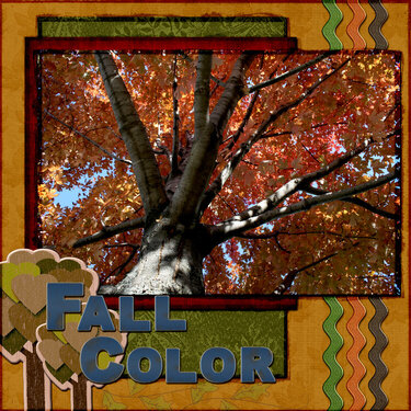 Fall Color