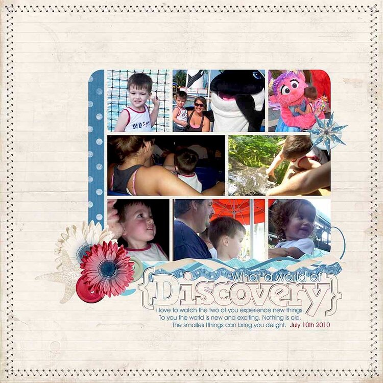 Discovery