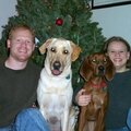 Family Christmas Pic