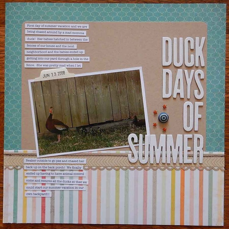 Duck Days of Summer