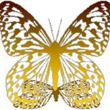 FREE!  FREE!  FREE!  GOLD BUTTERFLY! TAKE IT IF YOU WANT IT!