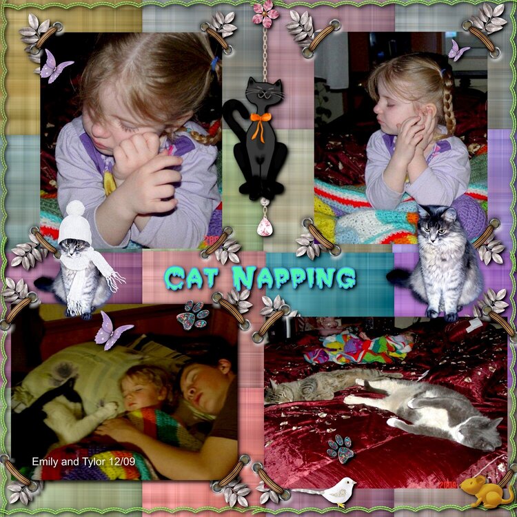 CAT NAPPING