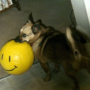 Twiggy loves his Walmart soccer ball