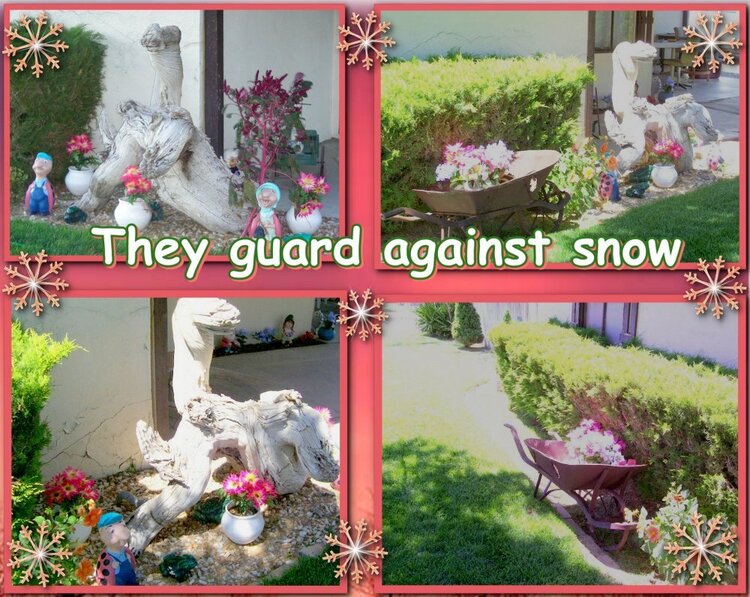 THEY GUARD AGAINST SNOW!!