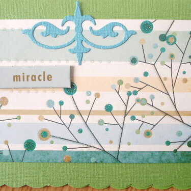 {MIRACLE}