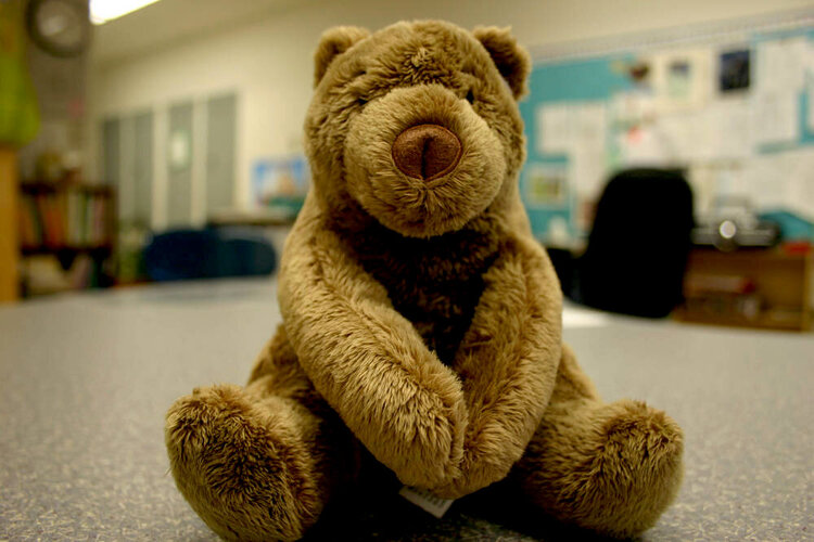 Teddy Bear