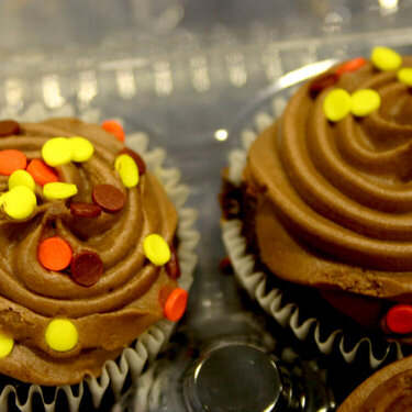 Cuppy Cakes