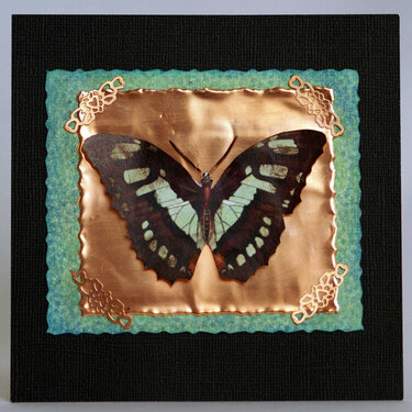 Copper Butterfly Card