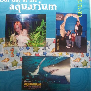 day at the aquarium