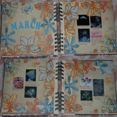 journal 2007 march