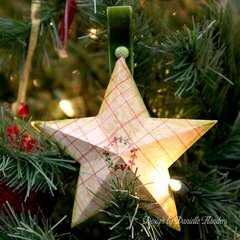Paper Star Ornament