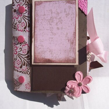 Pink and Brown Mini Album *photo 1 of 3