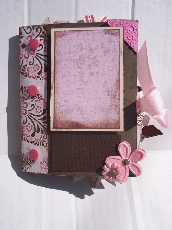 Pink and Brown Mini Album *photo 1 of 3