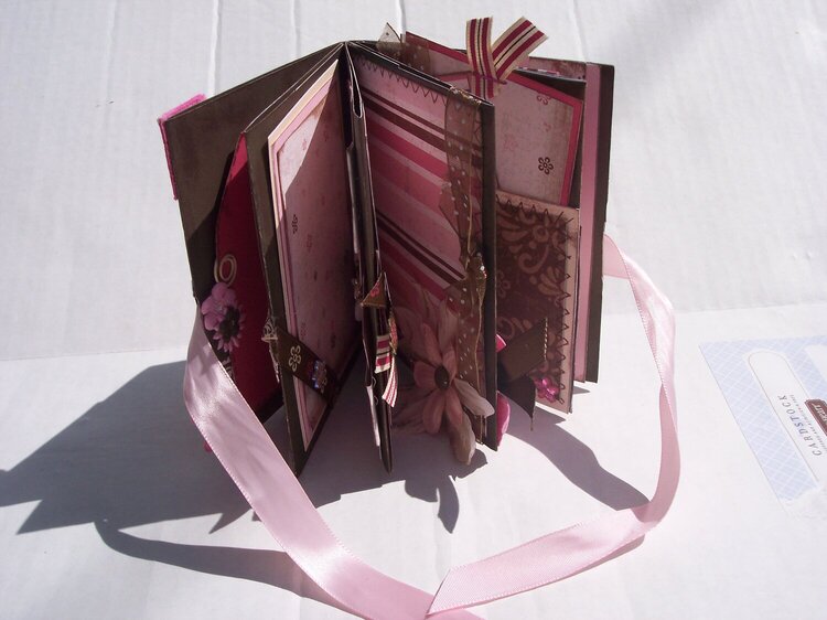 Pink and Brown Mini Album *photo 2 of 3