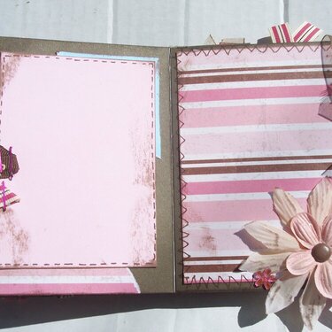 Pink and Brown Mini Album *photo 3 of 3