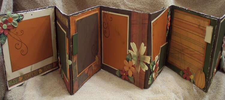 6x6 Fall accordian album *photo 1 of 3*