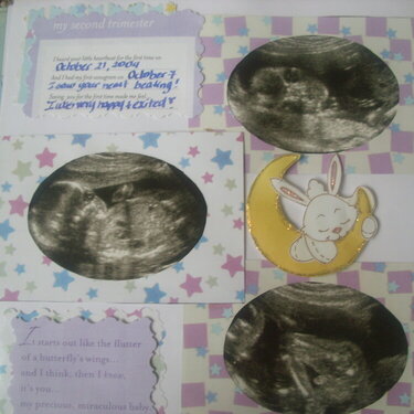 my baby&#039;s first scrapbook