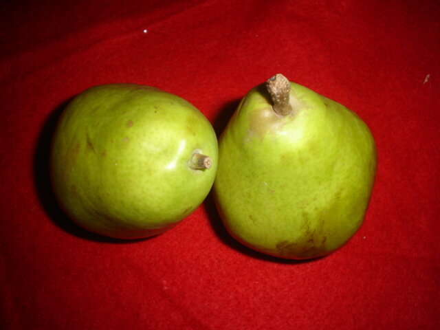 7. Pears