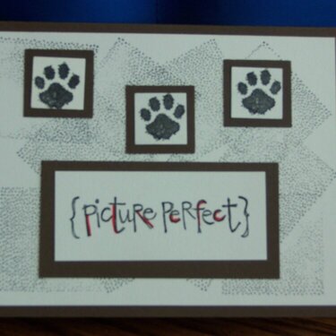 Doggie Card