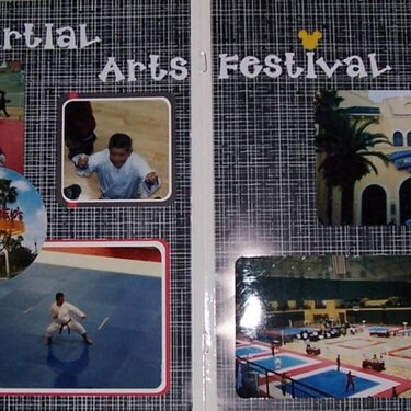 Disney&#039;s Martial Arts Festival